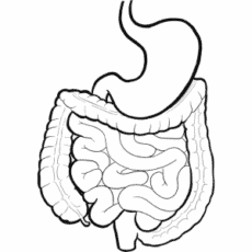 Icon representing holistic digestive health and natural support for gut issues